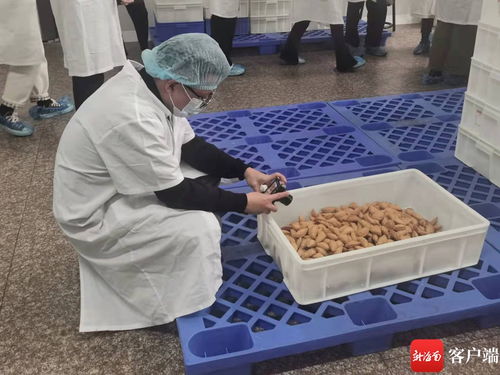 海南本土网红探访龙泉人食品工厂 为网友安全采购年货 保驾护航